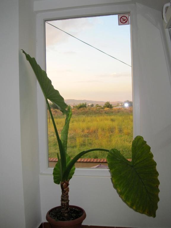 Motel Livija Petrovec Kültér fotó